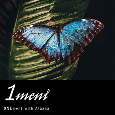 Self-healing and Transformation of Limitations 05/30/2018