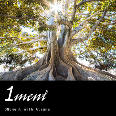 Grounding More Deeply and Aligning Higher Levels of Our Oneness Consciousness 08/22/18