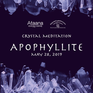 Crystal Meditation Apophyllite