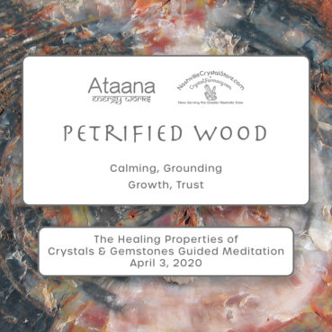 Ataana Method Nashville Crystal Store Petrified Wood Guided Meditation
