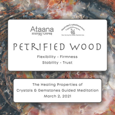 Ataana Method Nashville Crystal Store Petrified Wood Guided Meditation