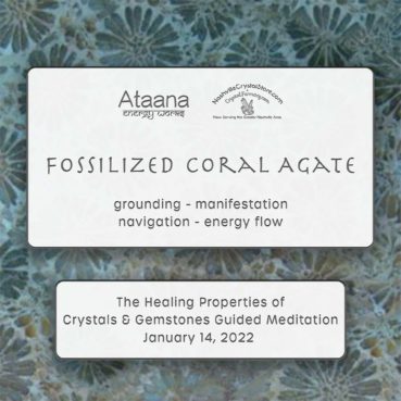 Ataana Method Nashville Crystal Store Fossilized Coral Agate Guided Meditation