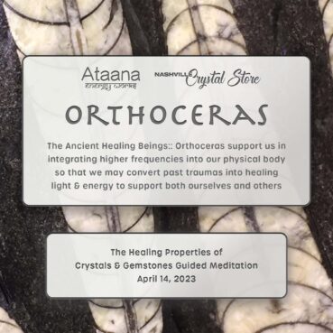 Ataana Method Nashville Crystal Store Orthoceras Guided Meditation