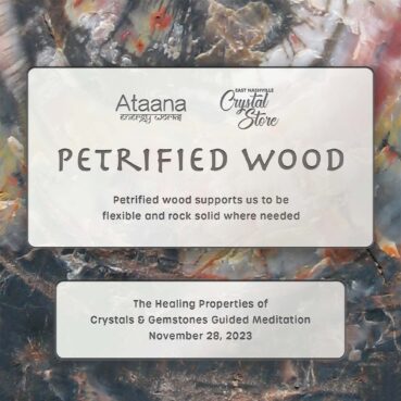 Ataana Method East Nashville Crystal Store Petrified Wood Guided Meditation