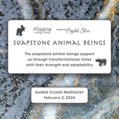 Ataana Method Nashville Crystal Store Soapstone Animal Beings Guided Meditation
