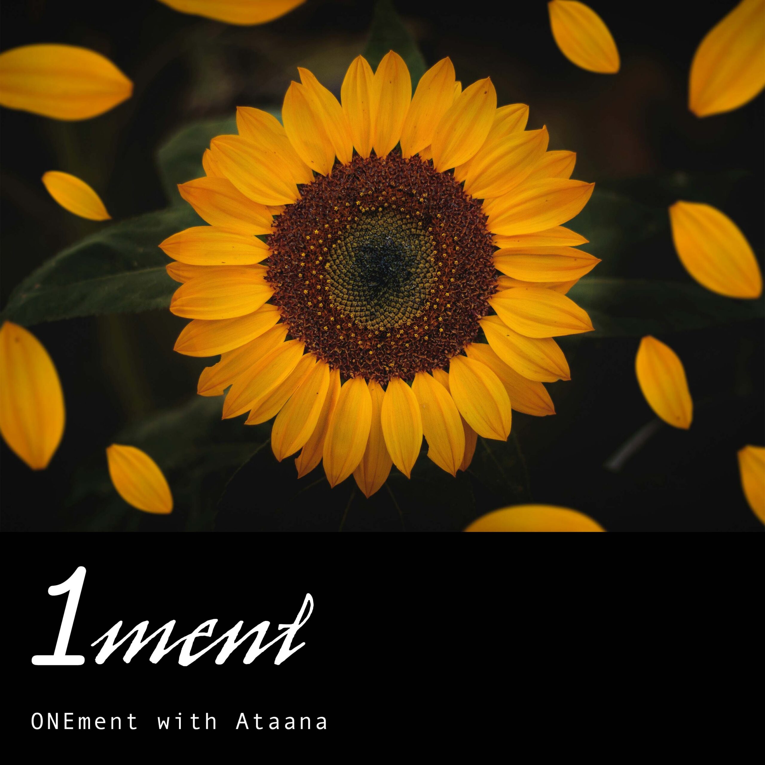 The Most Prosperous Expression Of Our Oneness Onement Guided Meditation Ataana Method