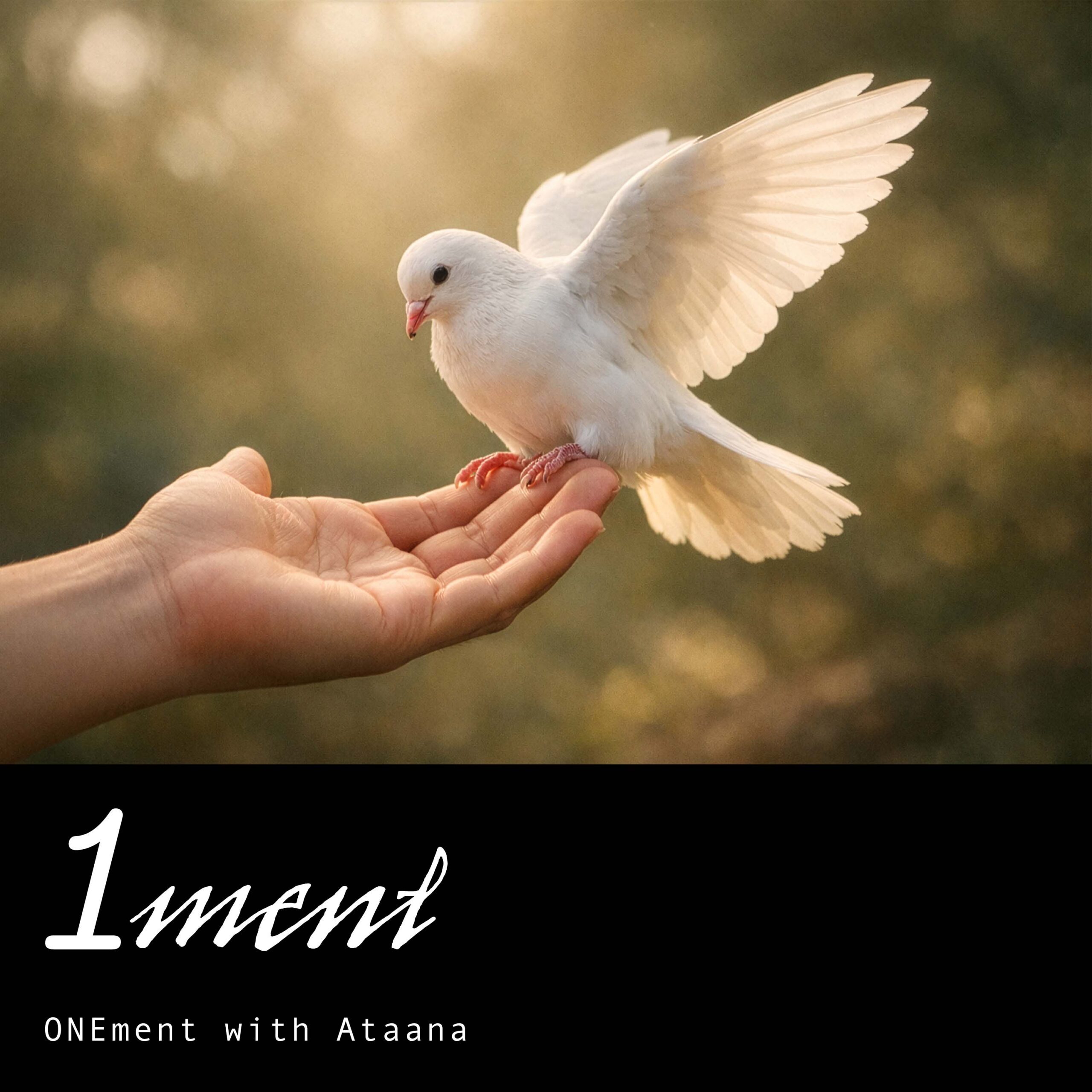 Feeling Safe In Our Harmlessness Onement Guided Meditation Ataana Method