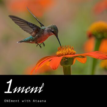 Supporting Emotional Focus Onement Guided Meditation Ataana Method