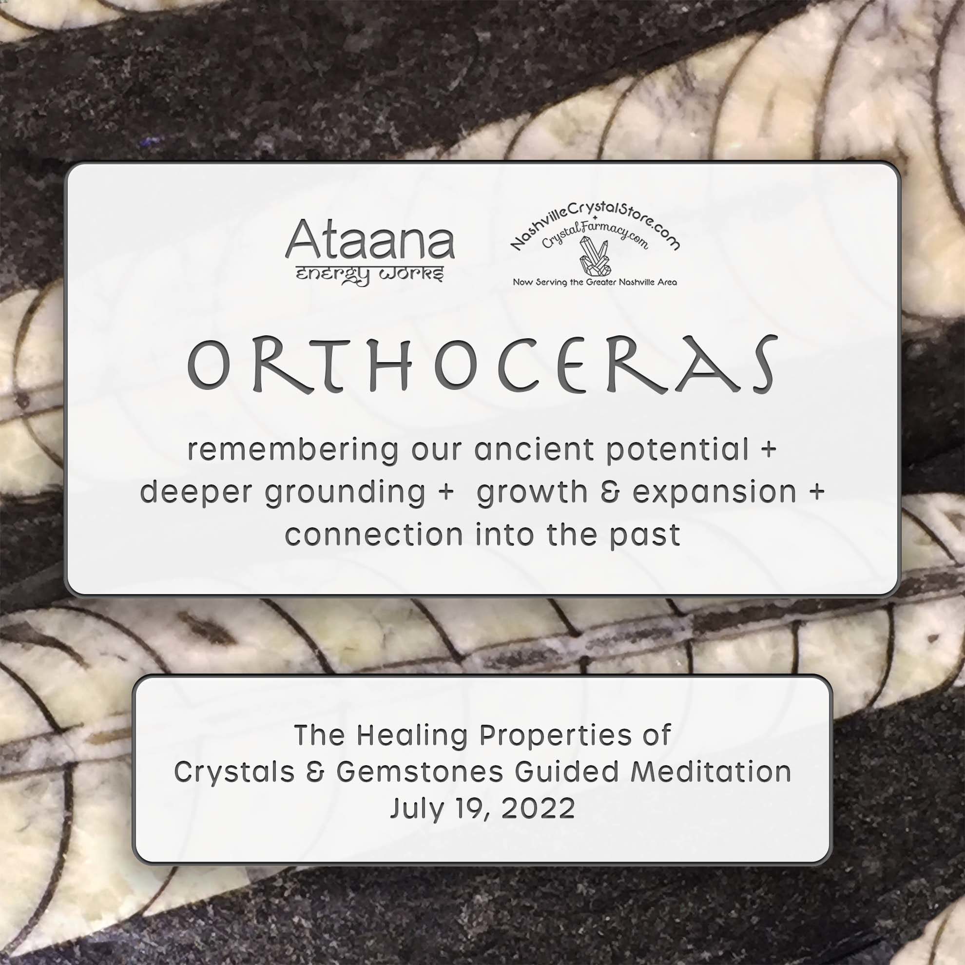 Ataana Method Nashville Crystal Store Orthoceras Guided Meditation